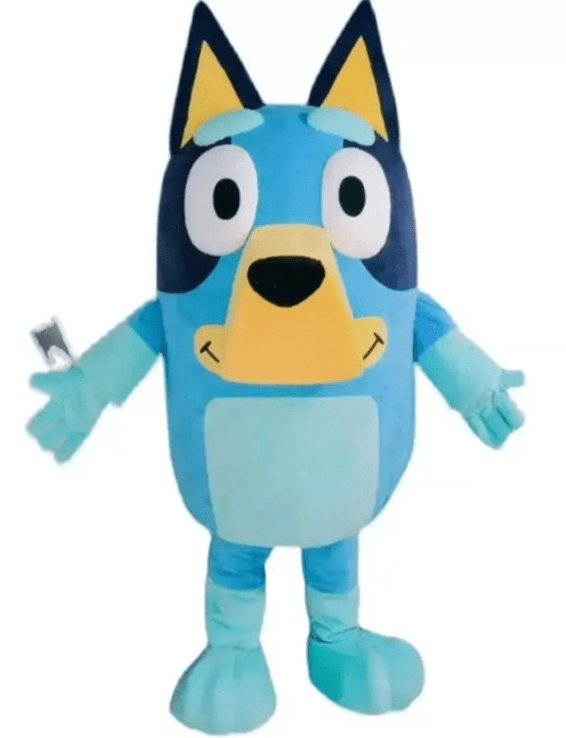 MASCOTS: R190 Blue Dog RENTAL ONLY - Special Surprise Events