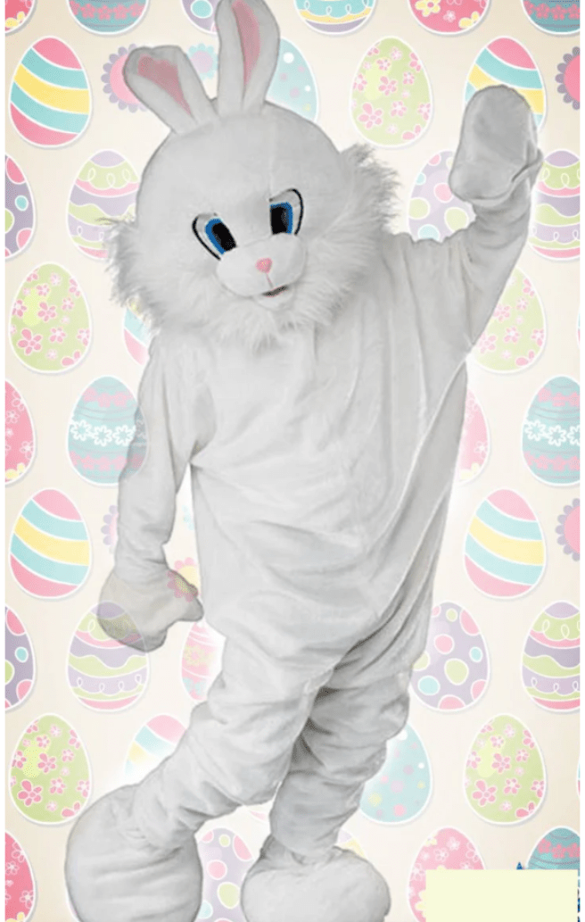 EASTER BOUQUETS: BUNNY COSTUME TO PURCHASE - Special Surprise Events