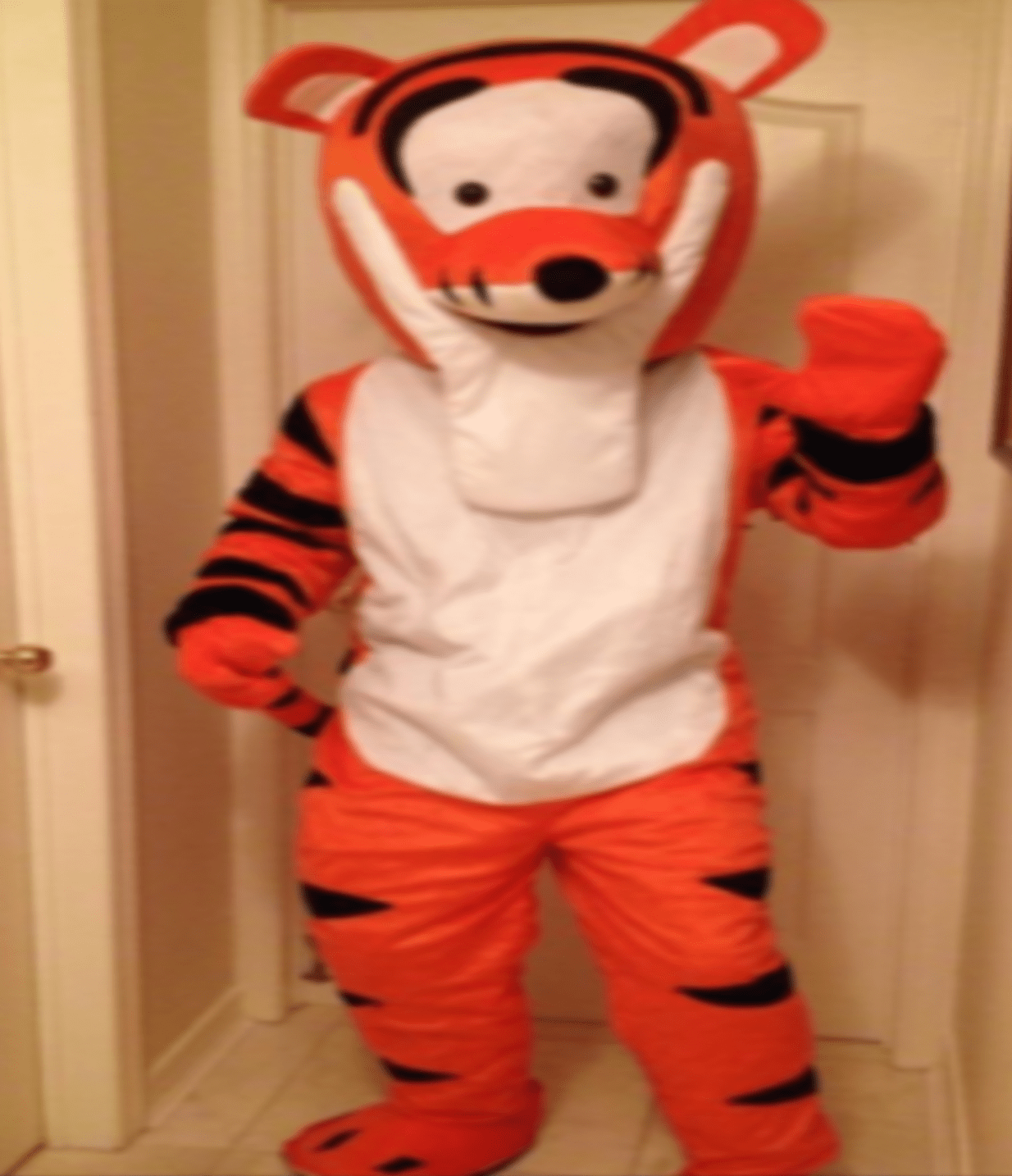 MASCOTS: Poohville Characters RENTALS ONLY - Special Surprise Events