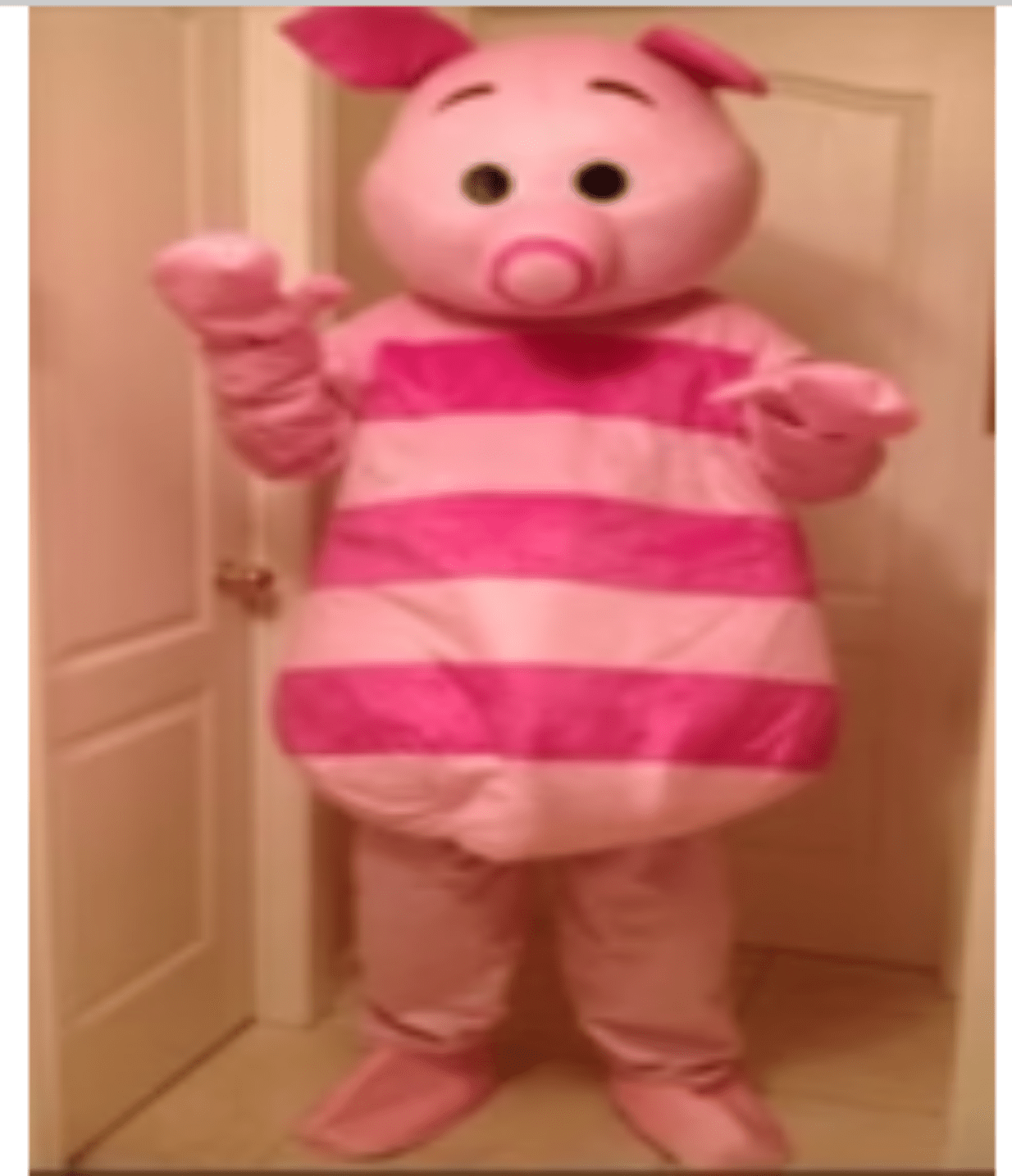 MASCOTS: Poohville Characters RENTALS ONLY - Special Surprise Events