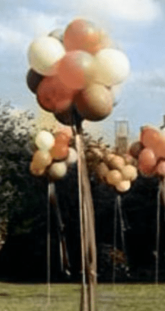 BALLOON TREES: Balloon Topiary - Special Surprise Events