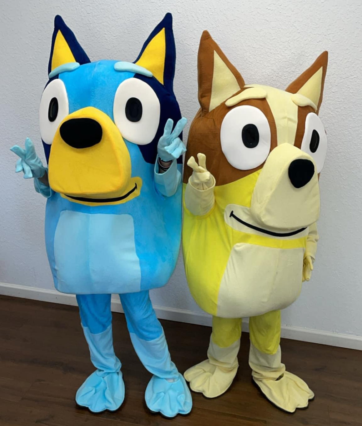 bluey and bingo