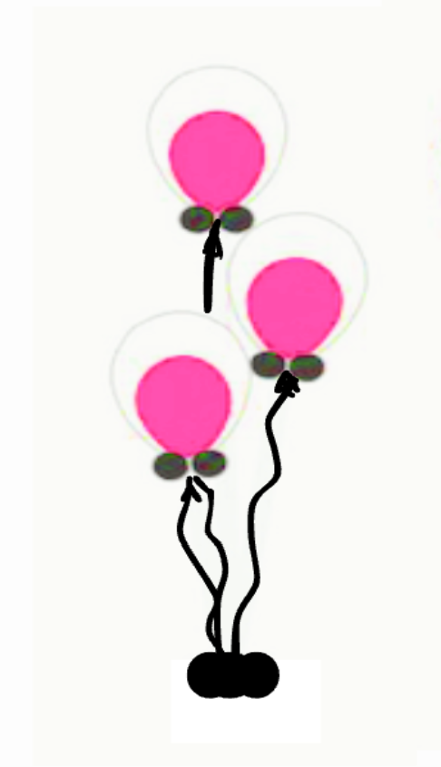 BALLOON TREES:  Doubles (bubbles)