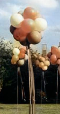 BALLOON TREES: Topiary